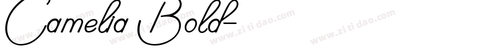 Camelia Bold字体转换